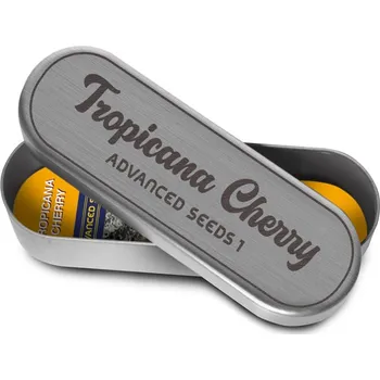 Pěstitelství Advanced Seeds Tropicana Cherry Počet ks Feminizované: 1