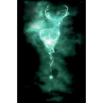 Plakát Plakát, Obraz - Harry Potter - Patronus Stag
