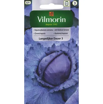 Semeno Zelí hlávkové Langedijker Dauer 3 (pozdní, červené, ke skladování) 10/2025