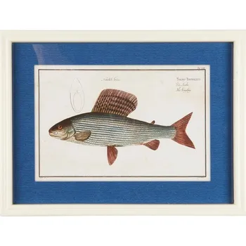 Obraz IB Laursen Obrázek ryby v bílém rámu 1