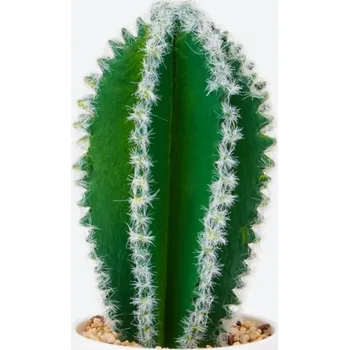 umělá květina Kaktus v květináči Umělá dekorace 14 cm
