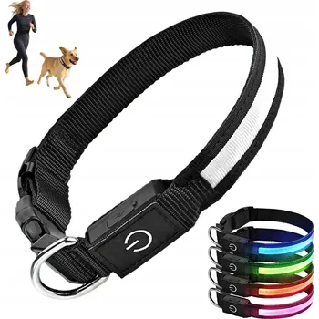 Obojek pro psa LED svítící obojek pro psy do tmy, nabíjecí USB, velikost L 50-60 cm