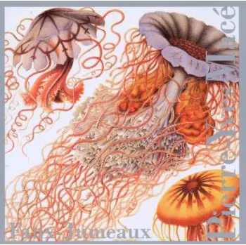 Zahraniční hudba CD Pierre-Yves Macé: Faux-Jumeaux 2002
