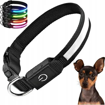 Obojek pro psa SVÍTÍCÍ LED OBOJEK PRO PSA KOČKU USB-C