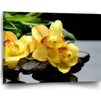 Obraz Sablio Obraz Žluté orchideje - 60x40 cm