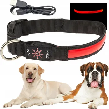 Obraz Obroża spacerowa dla psa LED świecąca na procházky, dobíjecí USB, velikost XL 48-60 cm