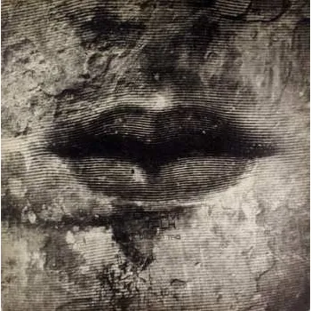 Zahraniční hudba CD Wolfgang Dauner Trio: Dream Talk 2026