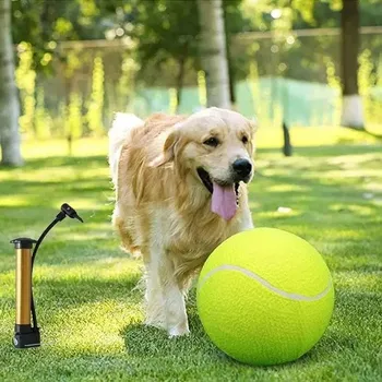 Hračka pro psa Velký míček nafukovací pro psa 24 cm hračka interaktivní, odolná proti