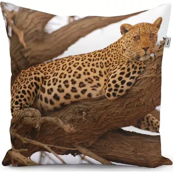 Polštář Sablio Polštář Levhart 2 - 50x50 cm