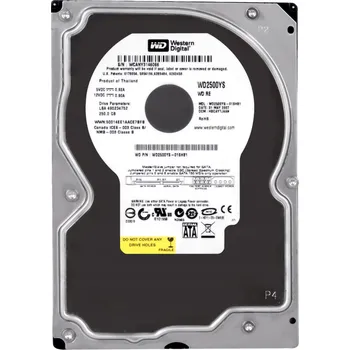 Interní pevný disk WD RE 250GB SATA II 7.2K 16MB 3.5" WD2500YS - Interní HDD