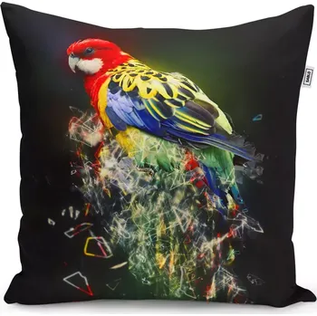 Polštář Sablio Polštář Barevný papoušek - 50x50 cm