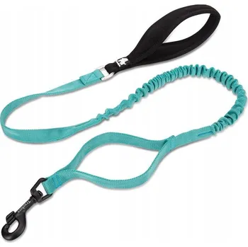 Vodítko pro psa Tradiční Vodítko Truelove s páskou 1,6 m