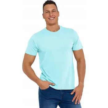 Pánské klasické Bavlna pánské tričko s krátkým rukávem SMOOTH MORAJ 3XL