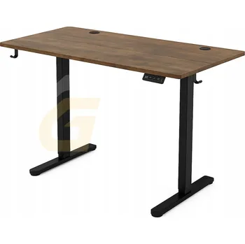 Psací stůl Elektrický Psací Stůl Nastavitelný 120x60cm Ergonomický, nastavitelná výška 72-118cm