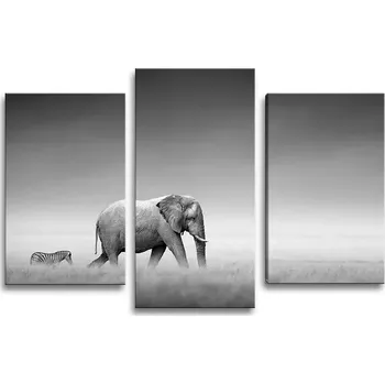 Obraz Sablio Obraz - 3-dílný Slon a zebra - 75x50 cm