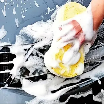 Velká houba na mytí auta