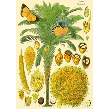 Obraz Vánoční přání 177 x 130 cm