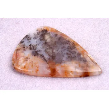 Přírodní kámen Kabošon Dendrite Tiger č.7934 (56x41x5mm)