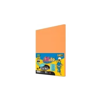 Kancelářský papír KANCELÁŘSKÝ PAPÍR BAREVNÝ LOSOSOVÝ A4 80G 100 LISTŮ