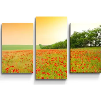 Obraz Sablio Obraz - 3-dílný Pole vlčích máků - 75x50 cm