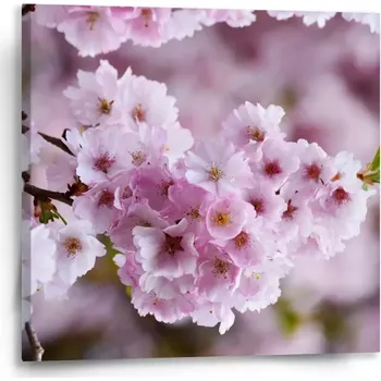 Obraz Sablio Obraz Rozkvetlý strom - 50x50 cm