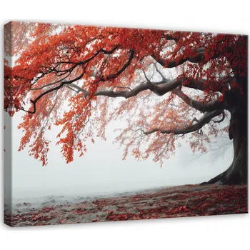 Obraz OBRAZ STROM PŘÍRODA KRAJINA MLHA DO LOŽNICE OBÝVACÍHO POKOJE NA PLÁTNĚ 60x40