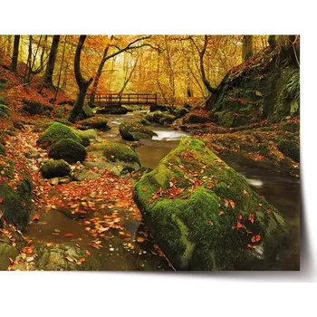 Plakát Sablio Plakát Most v lese - 60x40 cm