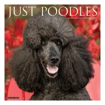 Kalendář Poodles 2026 12 X 12 Wall Calendar (EN)