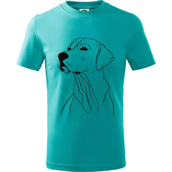 Chlapecké tričko Labrador černá kresba - Tričko dětské bavlněné - 134 cm/8 let ( Emerald )