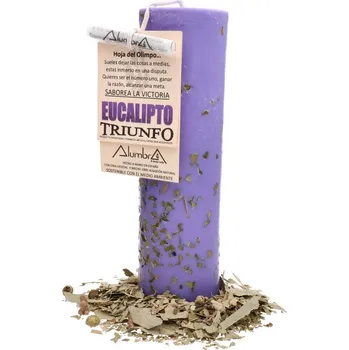 Svíčka Svíčky Rituální svíčka triumfu(vítězství) s eukalyptem