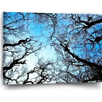 Obraz Sablio Obraz Holé větve - 60x40 cm