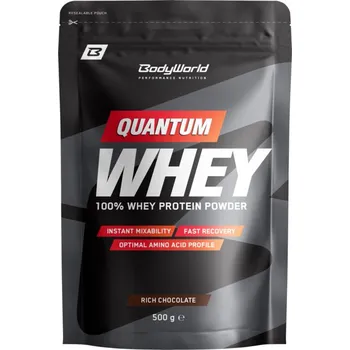 Protein BodyWorld Quantum Whey Protein 500 g, skořice