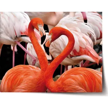 Plakát Sablio Plakát Plameňáci 2 - 60x40 cm