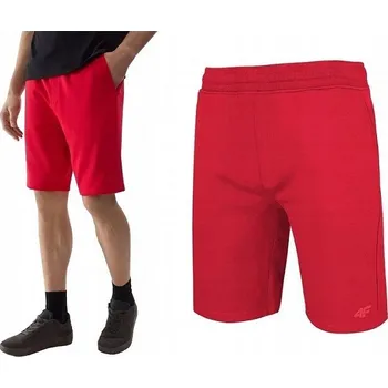 Pánské kraťasy kraťasy 4F velikost L