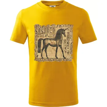 Chlapecké tričko Egyptské hieroglyfy jednorožec - Tričko dětské bavlněné - 158 cm/12 let ( Žlutá )
