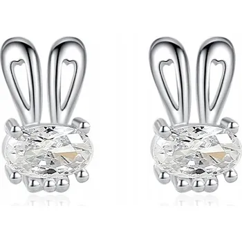 Náušnice Stříbro náušnice s Fraise S925 s kubickou zirkonií