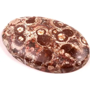 Přírodní kámen Kabošon Orbicular Jasper č.7355 (36x23x6mm)