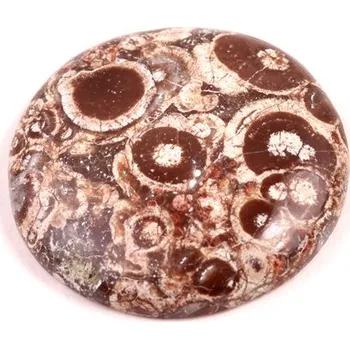 Přírodní kámen Kabošon Orbicular Jasper č.7344 (28x6mm)