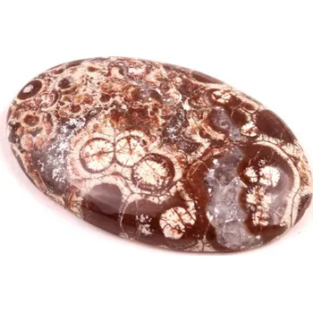 Přírodní kámen Kabošon Orbicular Jasper č.7345 (35x22x6mm)