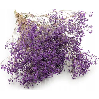 umělá květina Stabilizovaná Latnatá Kytice (gypsophila) - Pastelově Fialová