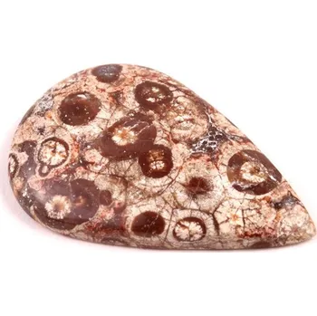 Přírodní kámen Kabošon Orbicular Jasper č.7353 (37x24x5mm)