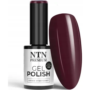 Lak na nehty Hybridní lak NTN Premium Show Collection HEMA/Di-HEMA Free 5 g Č. 113