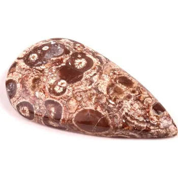 Přírodní kámen Kabošon Orbicular Jasper č.7349 (39x22x6mm)