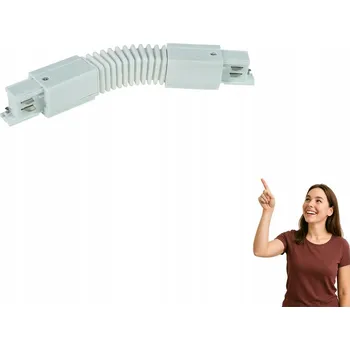 Bodové svítidlo Lišta pro kolejnicové osvětlení TK-Lighting 50 W 20 m