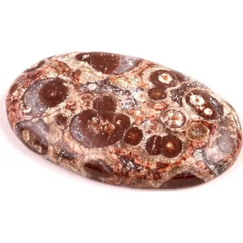 Přírodní kámen Kabošon Orbicular Jasper č.7357 (41x25x7mm)
