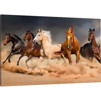 Obraz OBRAZ NA PLÁTNĚ STÁDO KONÍ 120x80 980