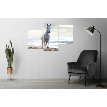 Obraz PĚTIDÍLNÝ TRYPTYCH NA ZEĎ KŮŇ MOŘE PLÁŽ