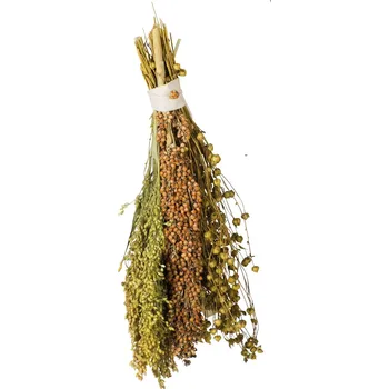 Pro ptáka JR Birds Mix přírodních klásků - Pick and Fly 130 g