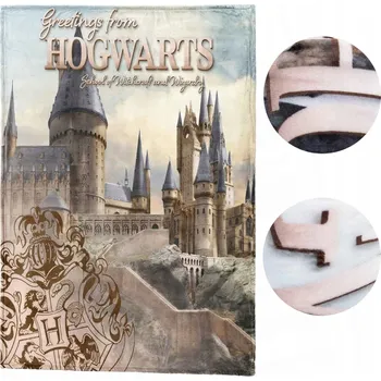 Dětská deka FLEECOVÁ DEKA HARRY POTTER 130x160 DĚTSKÁ MLÁDEŽNICKÁ BRADAVICE PŘEHOZ