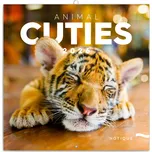 Notique Nástěnný poznámkový kalendář…